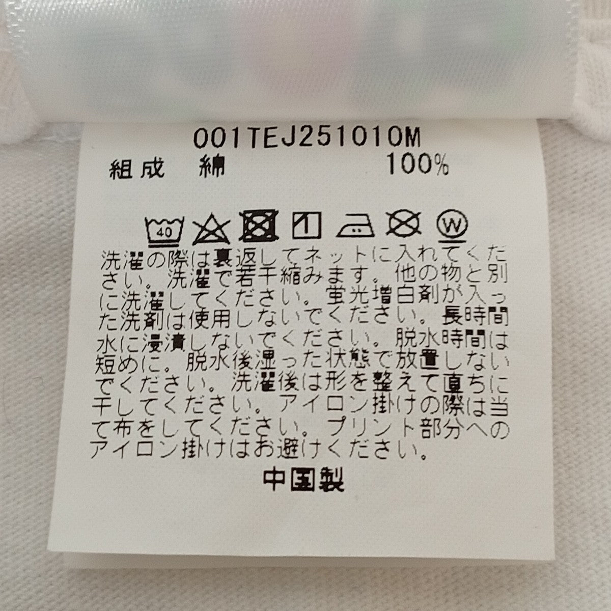 Tシャツ001TEJ251010M