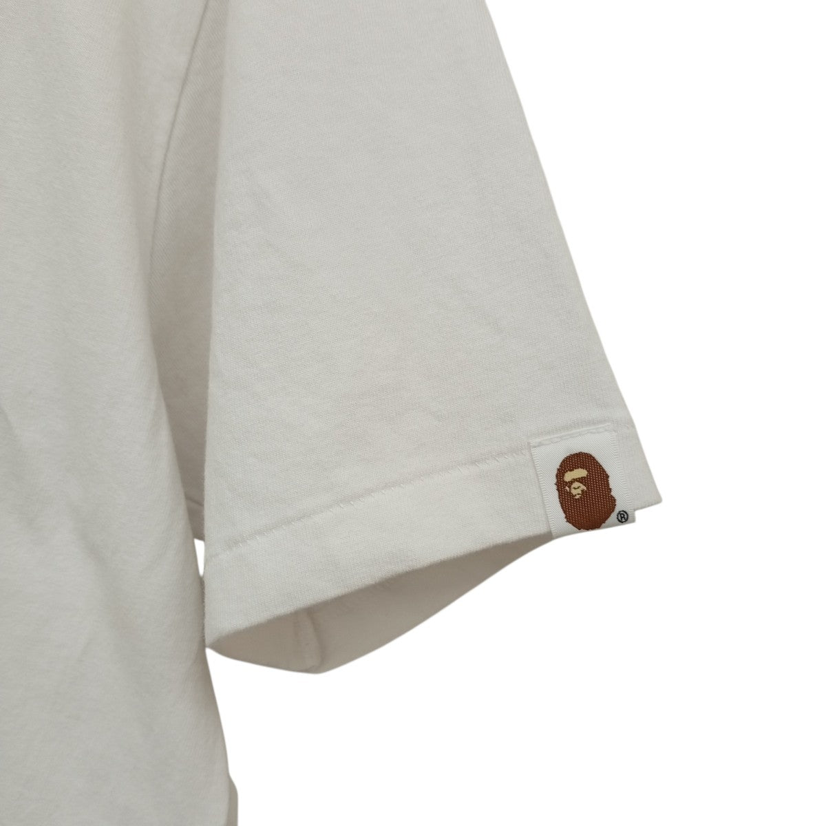 Tシャツ001TEJ251010M