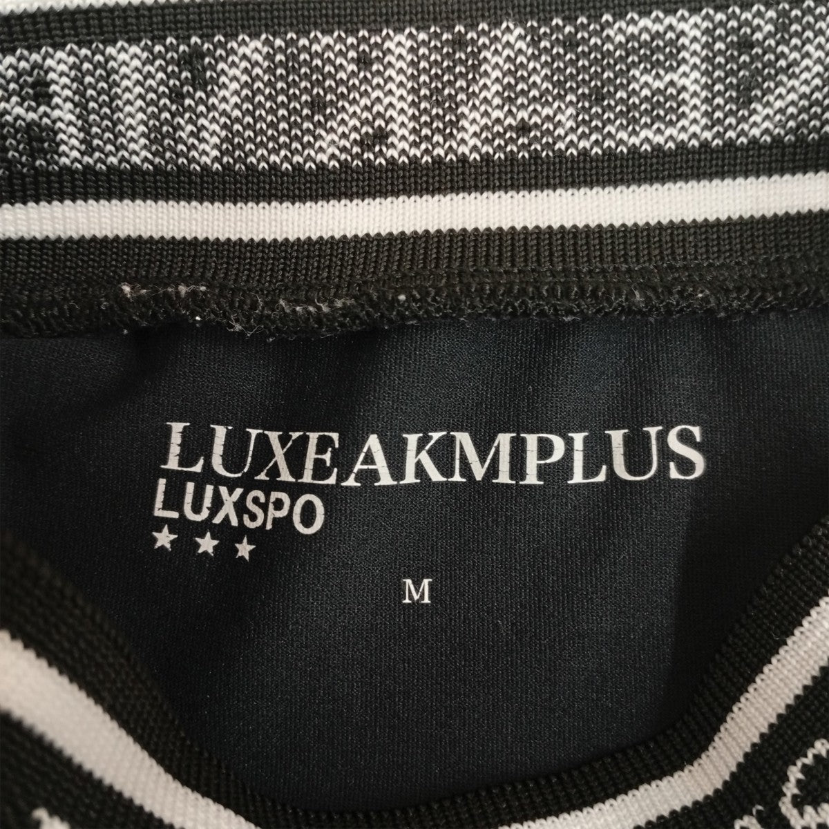 LUXEAKMPLUS カラーロゴ半袖モックネックTシャツLAT-25003 古着・中古-3枚目のアイテム画像