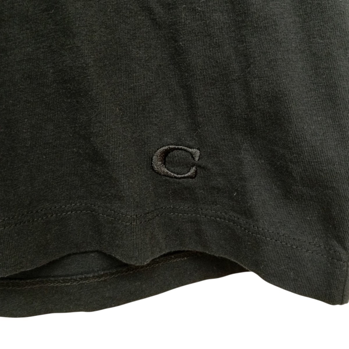 TシャツF88133