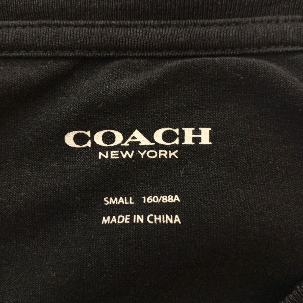 Tシャツ29076