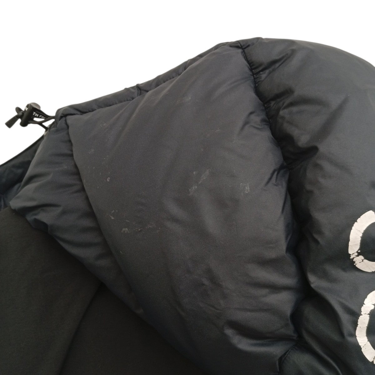 Supreme×THE NORTH FACE 19AWSTATUE PRINT Baltro JacketダウンジャケットND919011 古着・中古-6枚目のアイテム画像