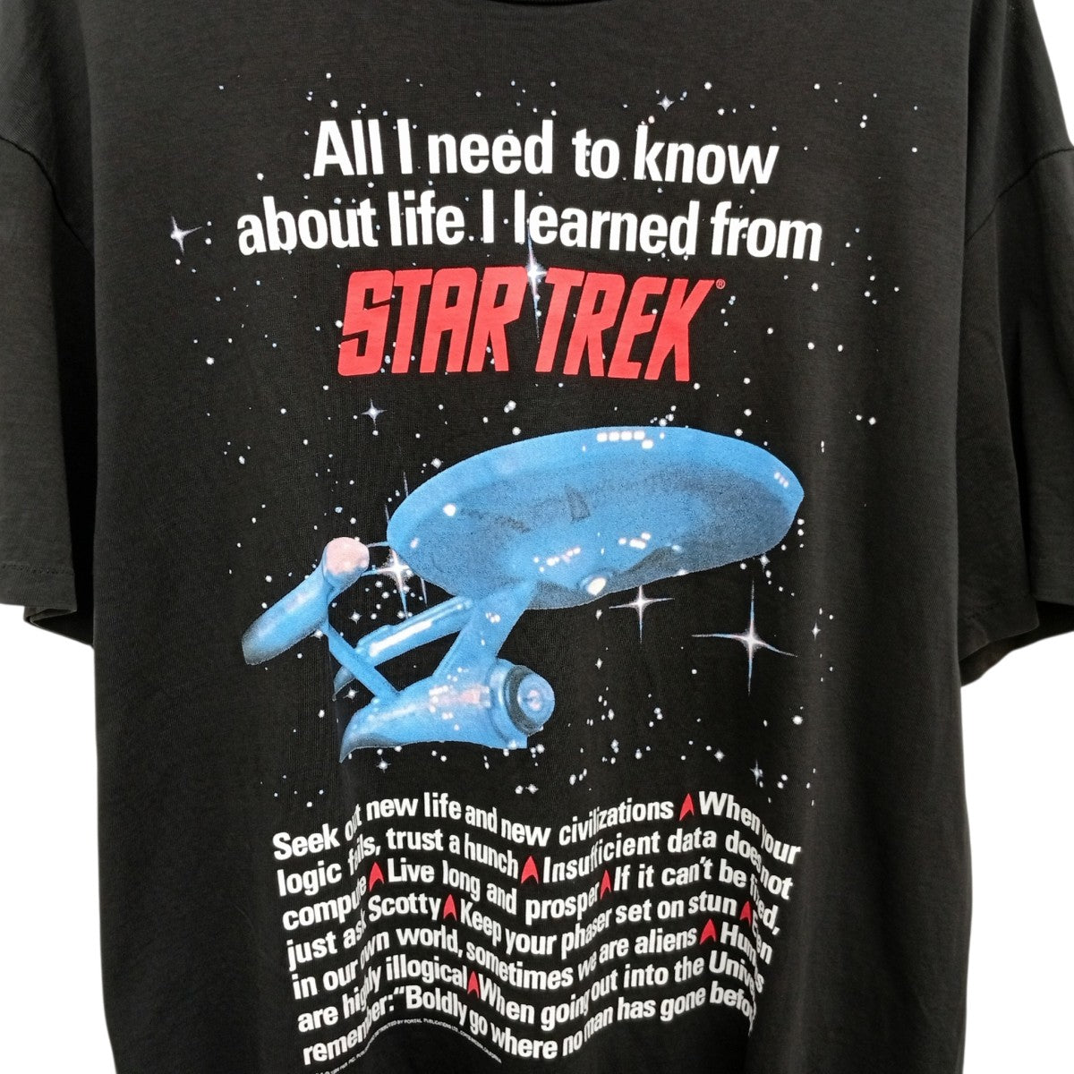 STAR TREX Hanes BEEFY2枚タグ 袖裾シングルTシャツ