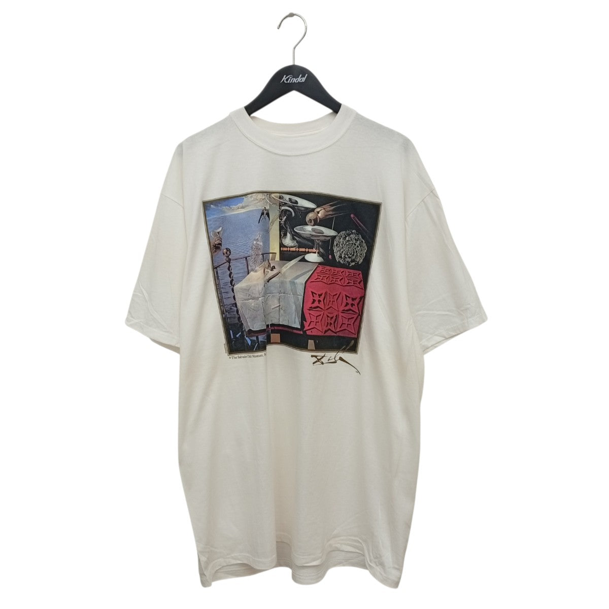 90s USA製 Salvador Dail 素早く動いている静物半袖カットソー