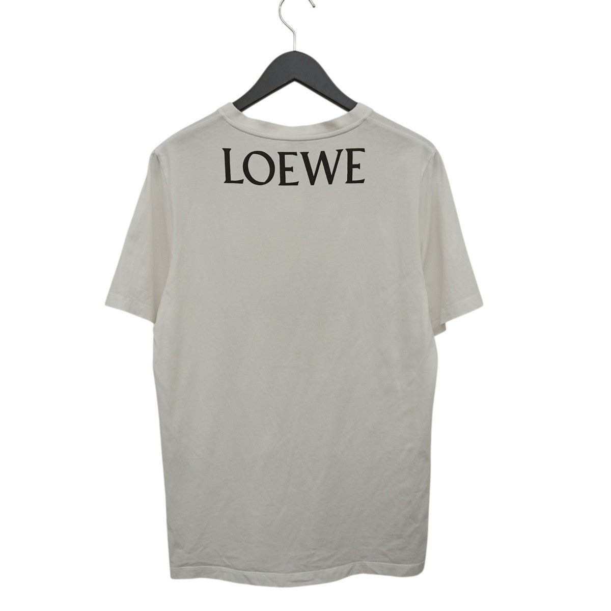 TシャツS359333XCH