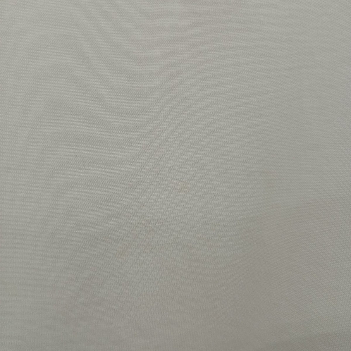リンガーTシャツ