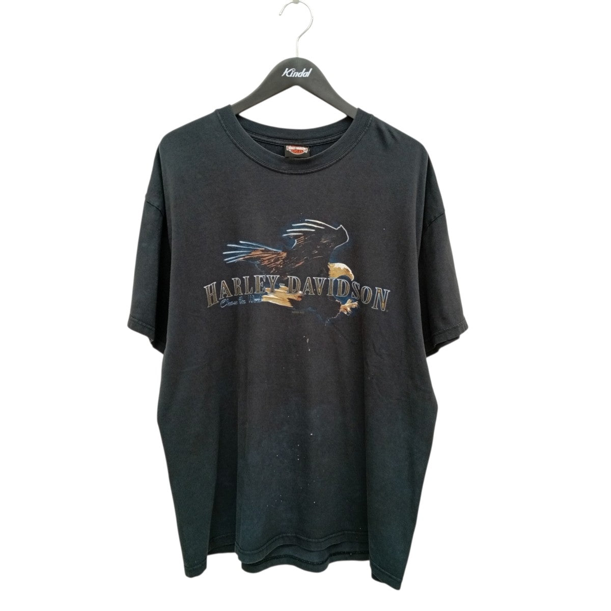 HANES BEEFYボディTシャツ