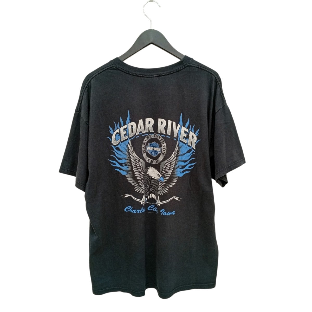 HANES BEEFYボディTシャツ