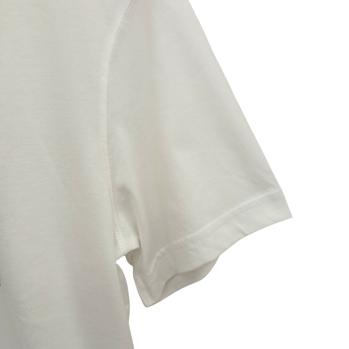 ビッグワニロゴプリントTシャツTH9071-99