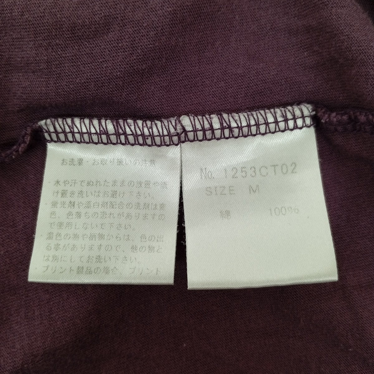 Tシャツ1253CT02