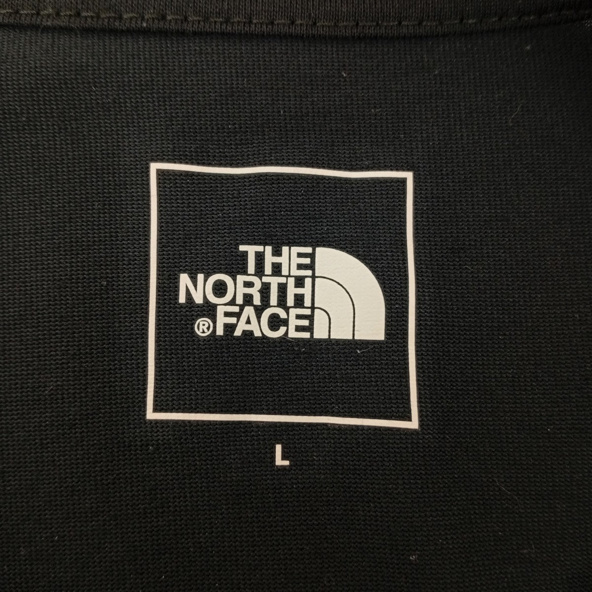 L S TNF Bug Free TeeロングスリーブカットソーNT12330