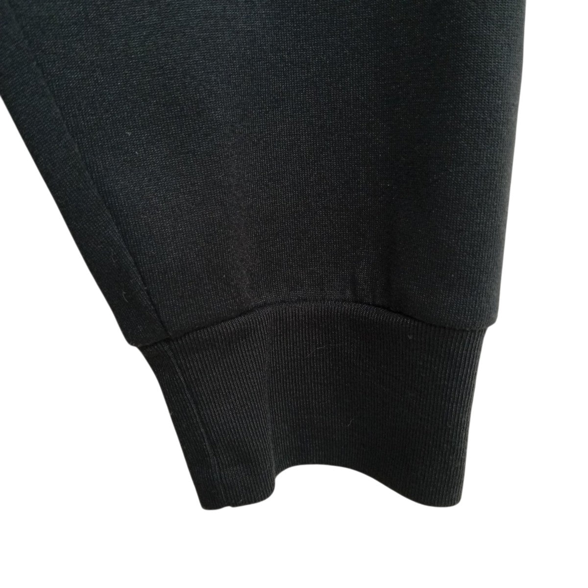 L S TNF Bug Free TeeロングスリーブカットソーNT12330