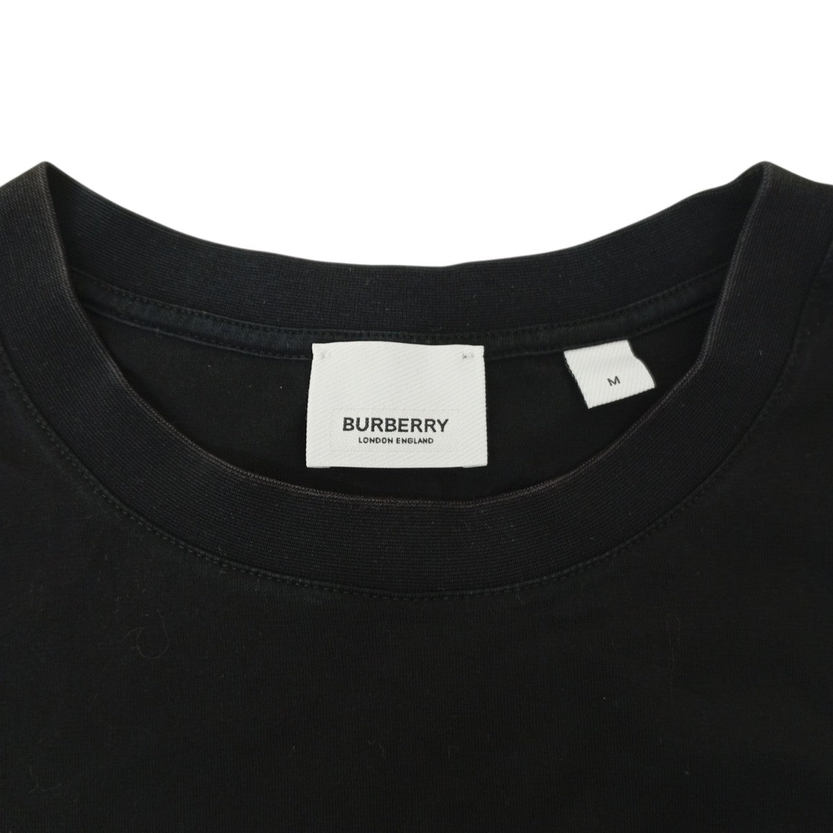 Tシャツ8017224