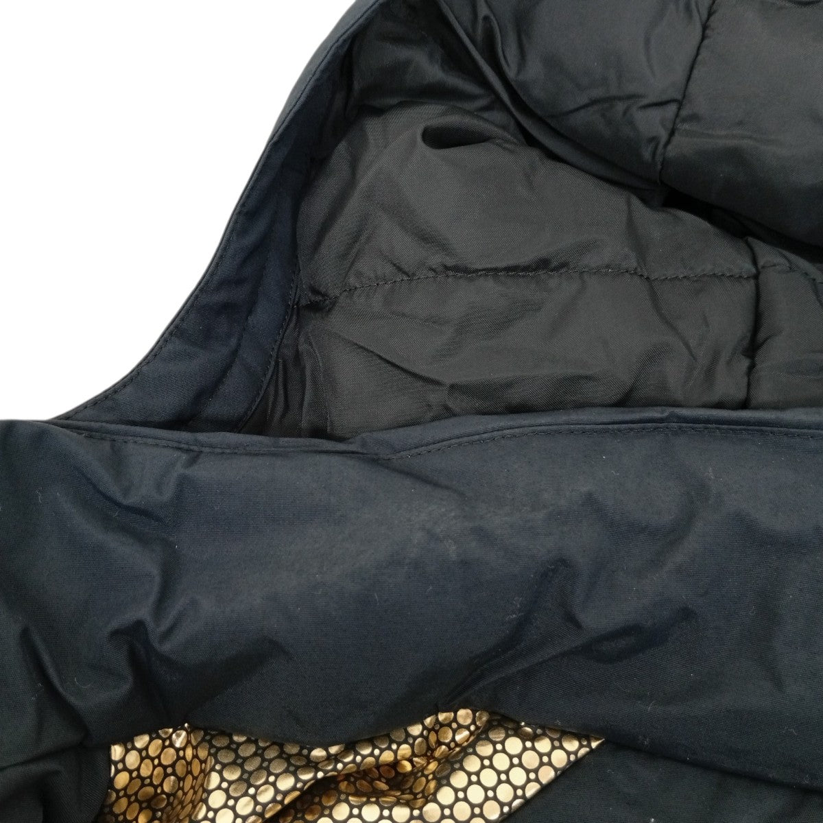 Tree Swallow Insulated Jacket中綿ジャケットPL0277