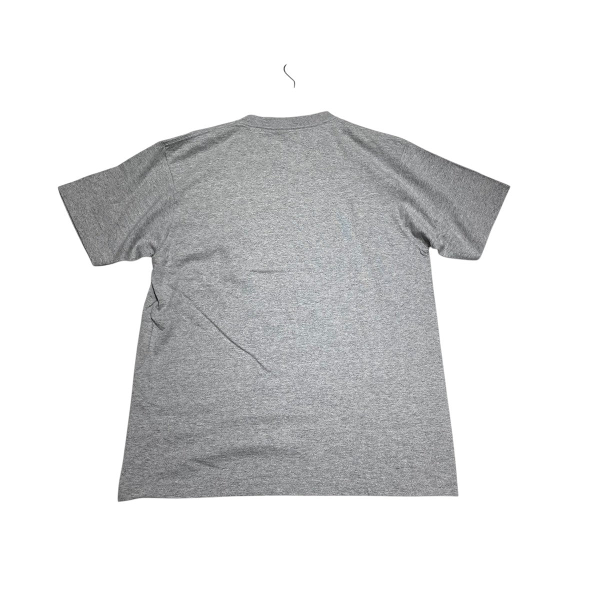 World Famous KING of Street Tee半袖Tシャツ