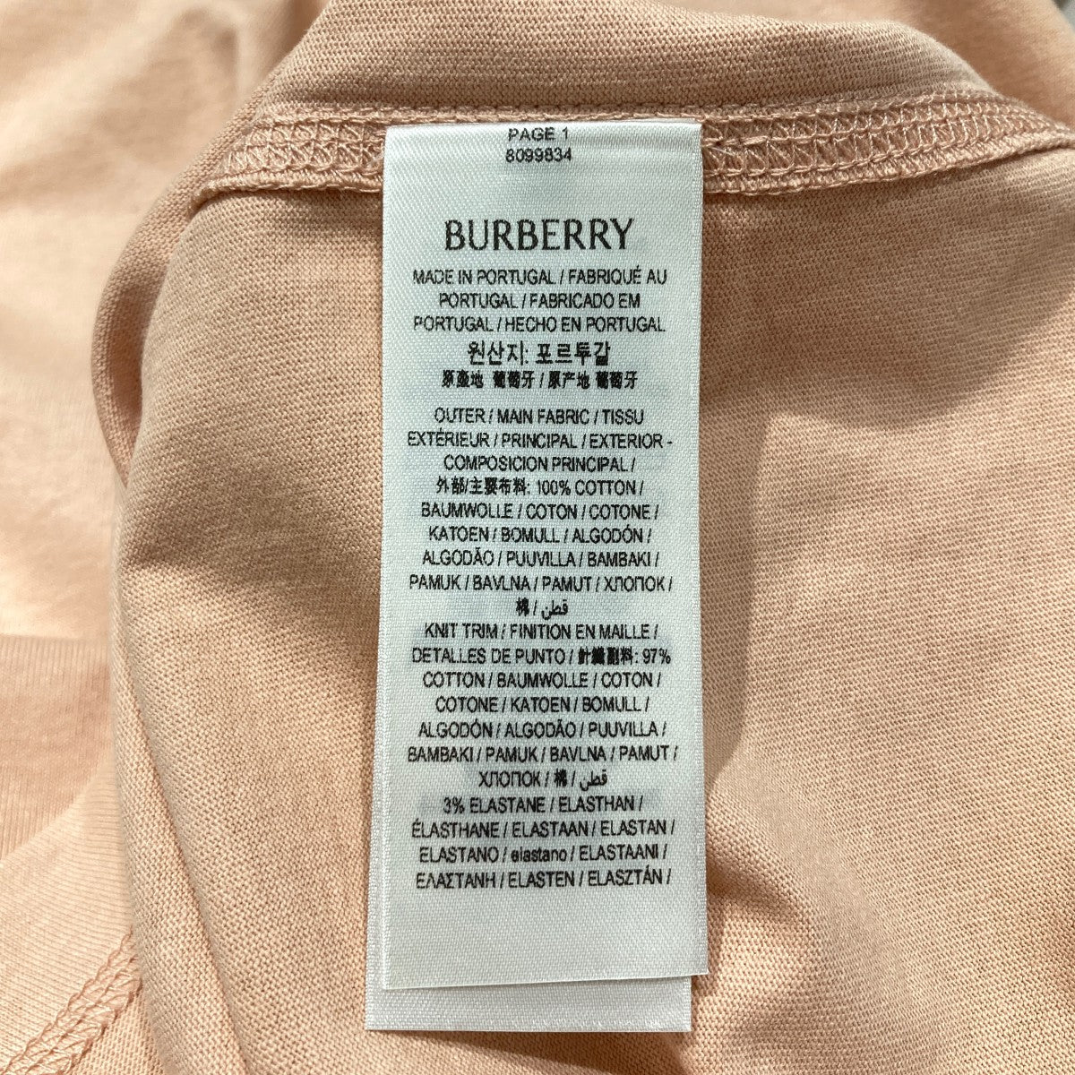 BURBERRY ペイズリーロゴ半袖Tシャツ8099834 古着・中古-5枚目のアイテム画像