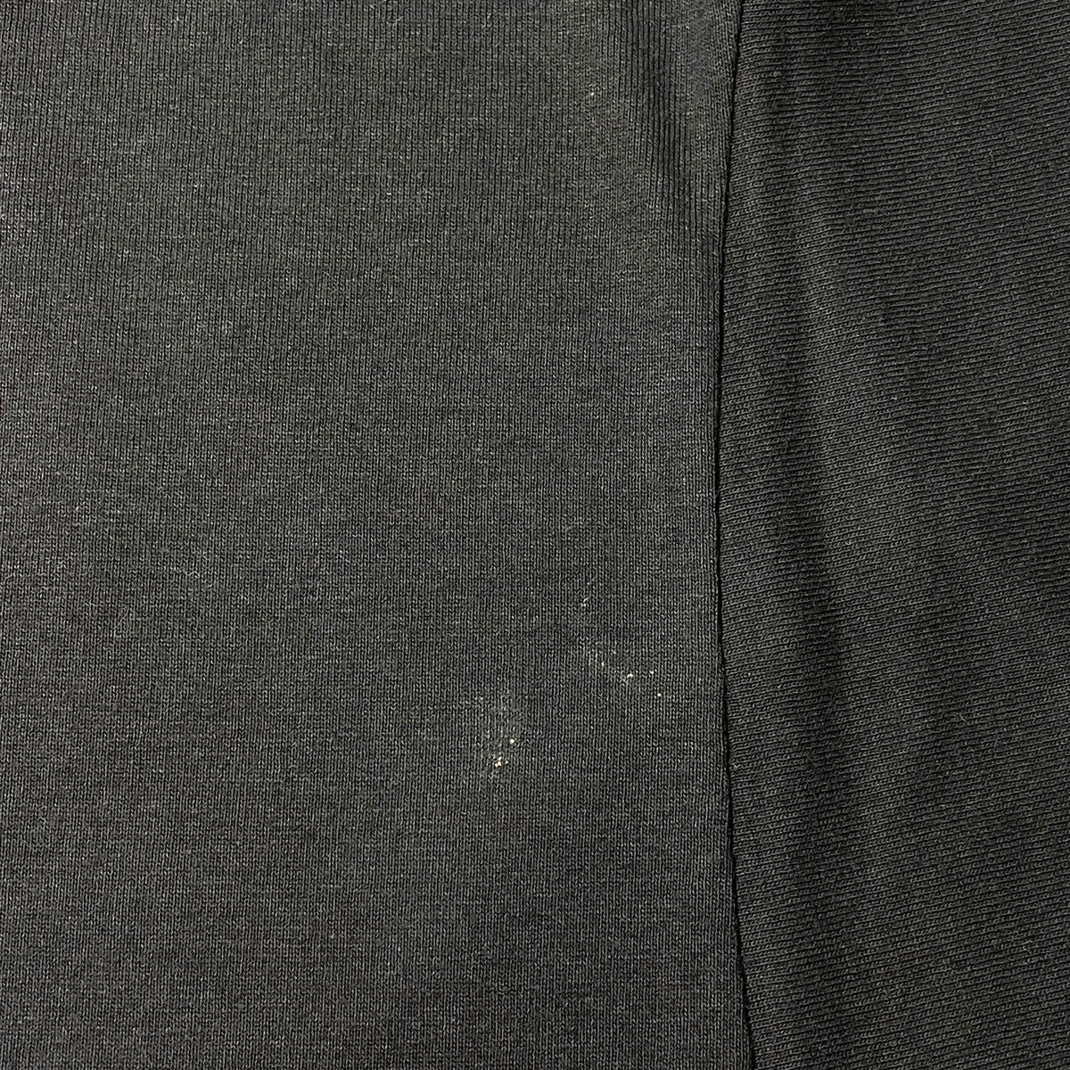 WINTERLAND 00sPantera半袖Tシャツ 古着・中古-7枚目のアイテム画像