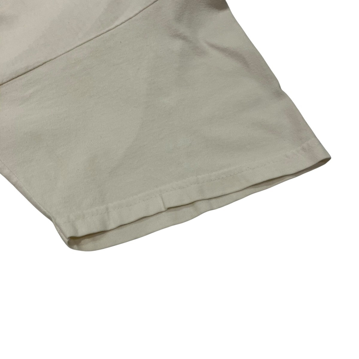 Hanes 90s AppleTシャツ 古着・中古-4枚目のアイテム画像