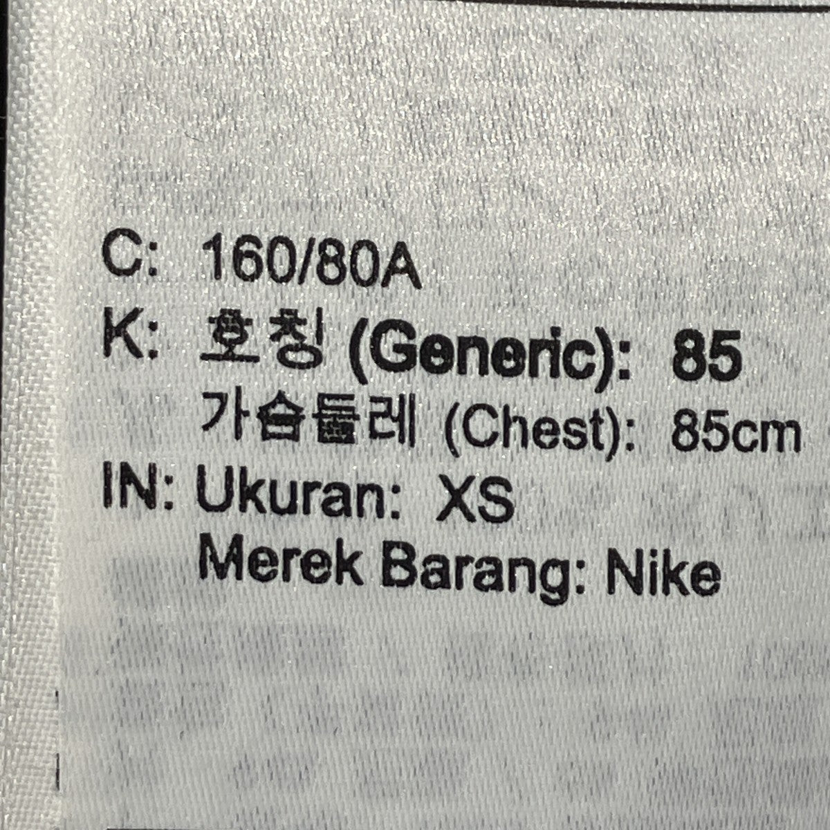 AS M NIKE ACG MICROFLEEフリースジャケットBQ7198-011