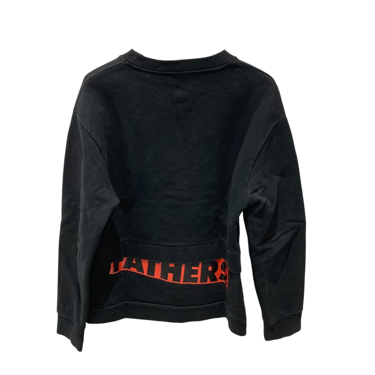 RAF SIMONS 14AWSTERLING RUBYクルーネックスウェット142-111 A 古着・中古-2枚目のアイテム画像