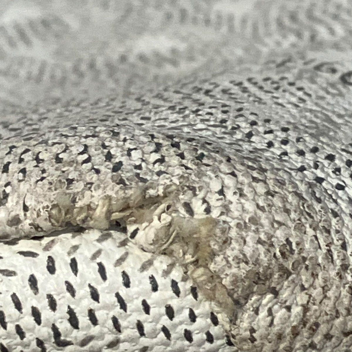 GOYARD トートバッグ 古着・中古-10枚目のアイテム画像