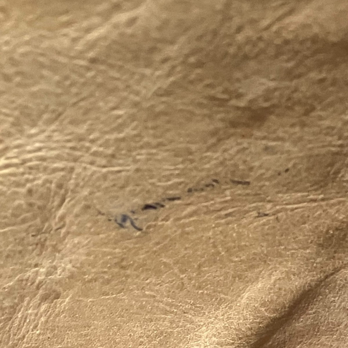 Aeta フラットショルダーバッグショルダーバッグ 古着・中古-4枚目のアイテム画像