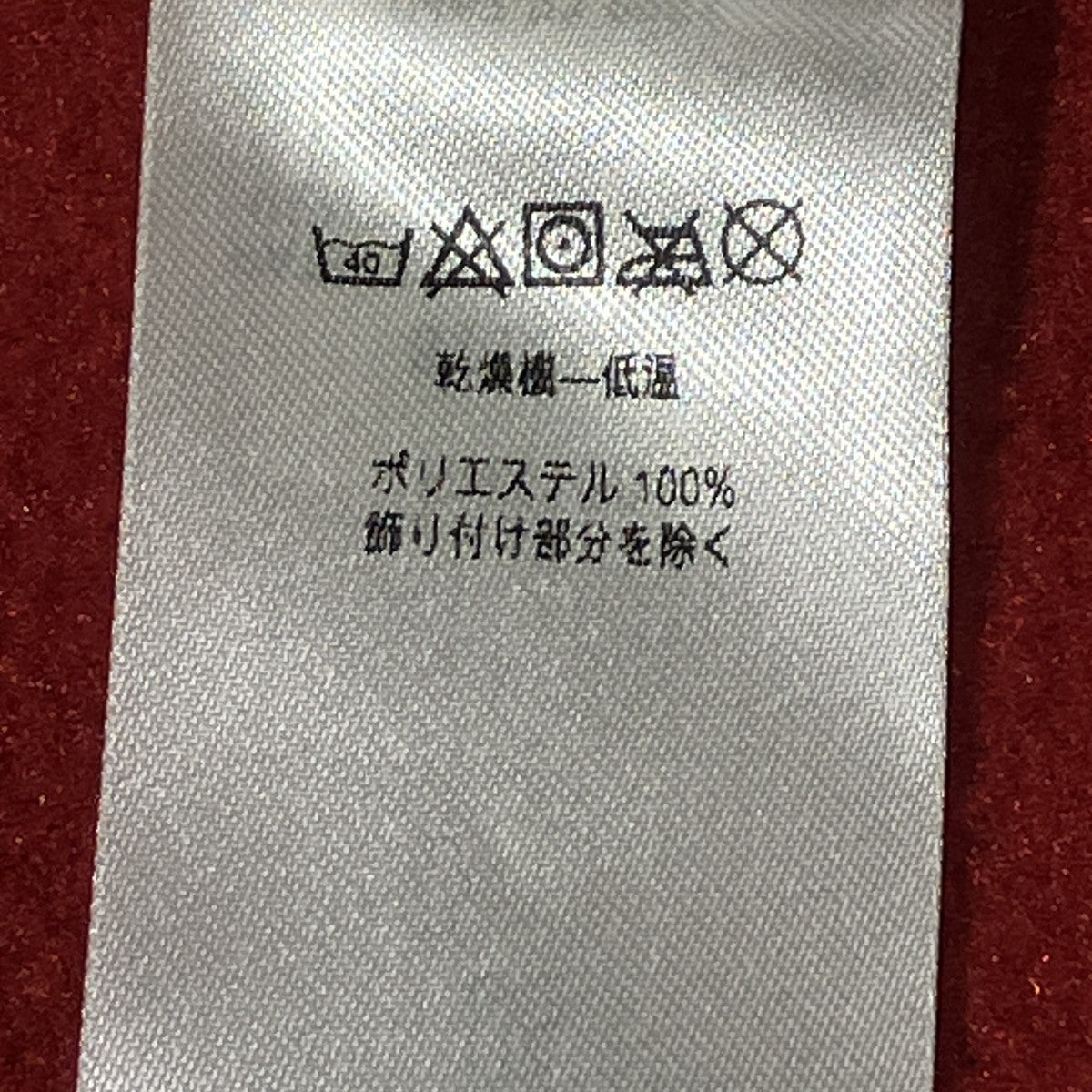 18AWシンチラ スナップT フーディフリースジャケット25462