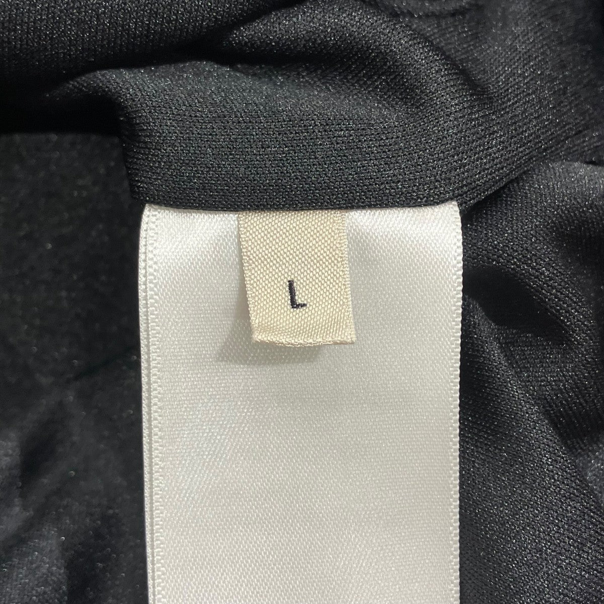 CELINE 22SSTiger Zip Up Track Jacketトラックジャケット2Y654382Q 古着・中古-5枚目のアイテム画像