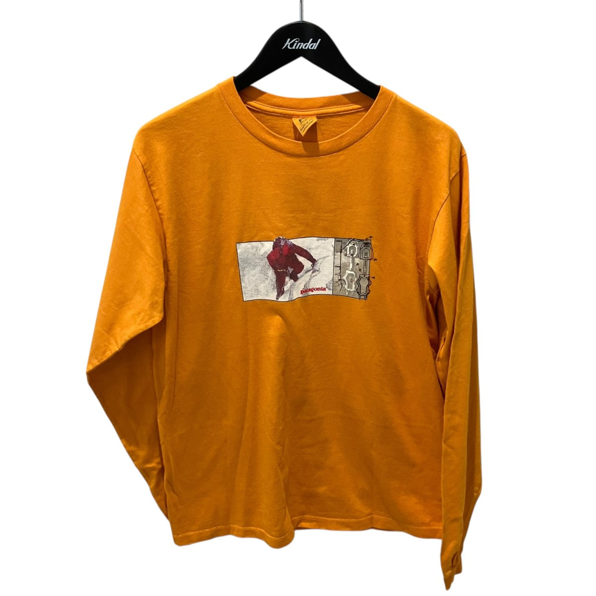 Patagonia 90sUSA製 Beneficial T’s フォトプリント長袖Tシャツ 古着・中古-1枚目のアイテム画像
