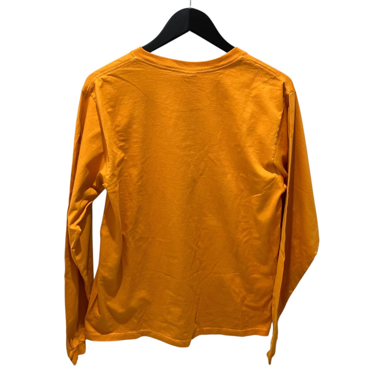 Patagonia 90sUSA製 Beneficial T’s フォトプリント長袖Tシャツ 古着・中古-2枚目のアイテム画像