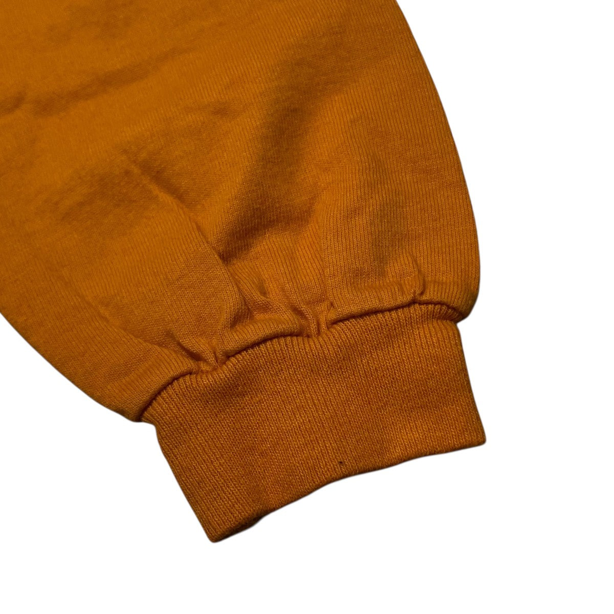Patagonia 90sUSA製 Beneficial T’s フォトプリント長袖Tシャツ 古着・中古-4枚目のアイテム画像
