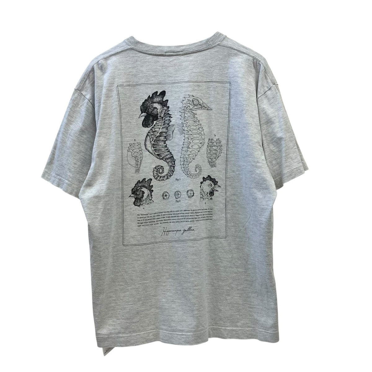 RAKINES CHIMERIC FISH MUSEUM T-SHIRTS半袖Tシャツ04F20AF045C 古着・中古-2枚目のアイテム画像