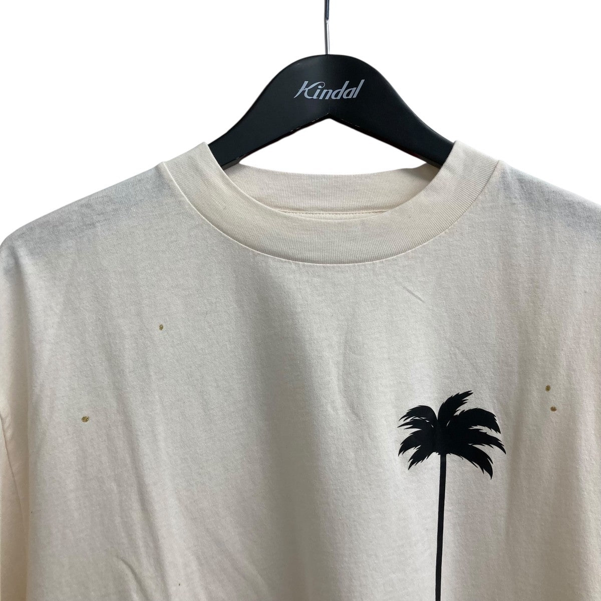 PXP PAINTED CLASSIC TEE半袖TシャツPMAF22-205