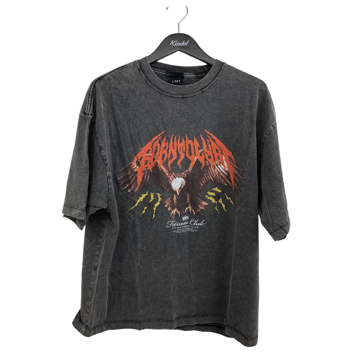 EAGLE GRAPHIC VINTAGE BIG T-SHIRT半袖Tシャツ