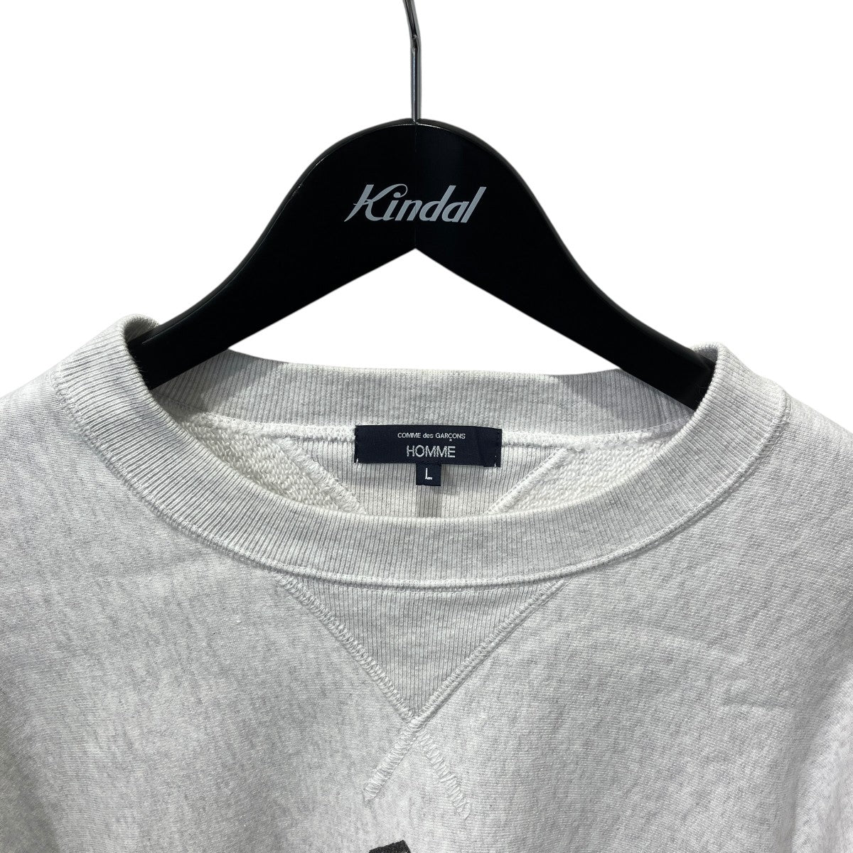 COMME des GARCONS HOMME 25AWANDY WARHOL アートワークプリント 綿度詰裏毛スウェットHP-T010/AD2025 古着・中古-3枚目のアイテム画像