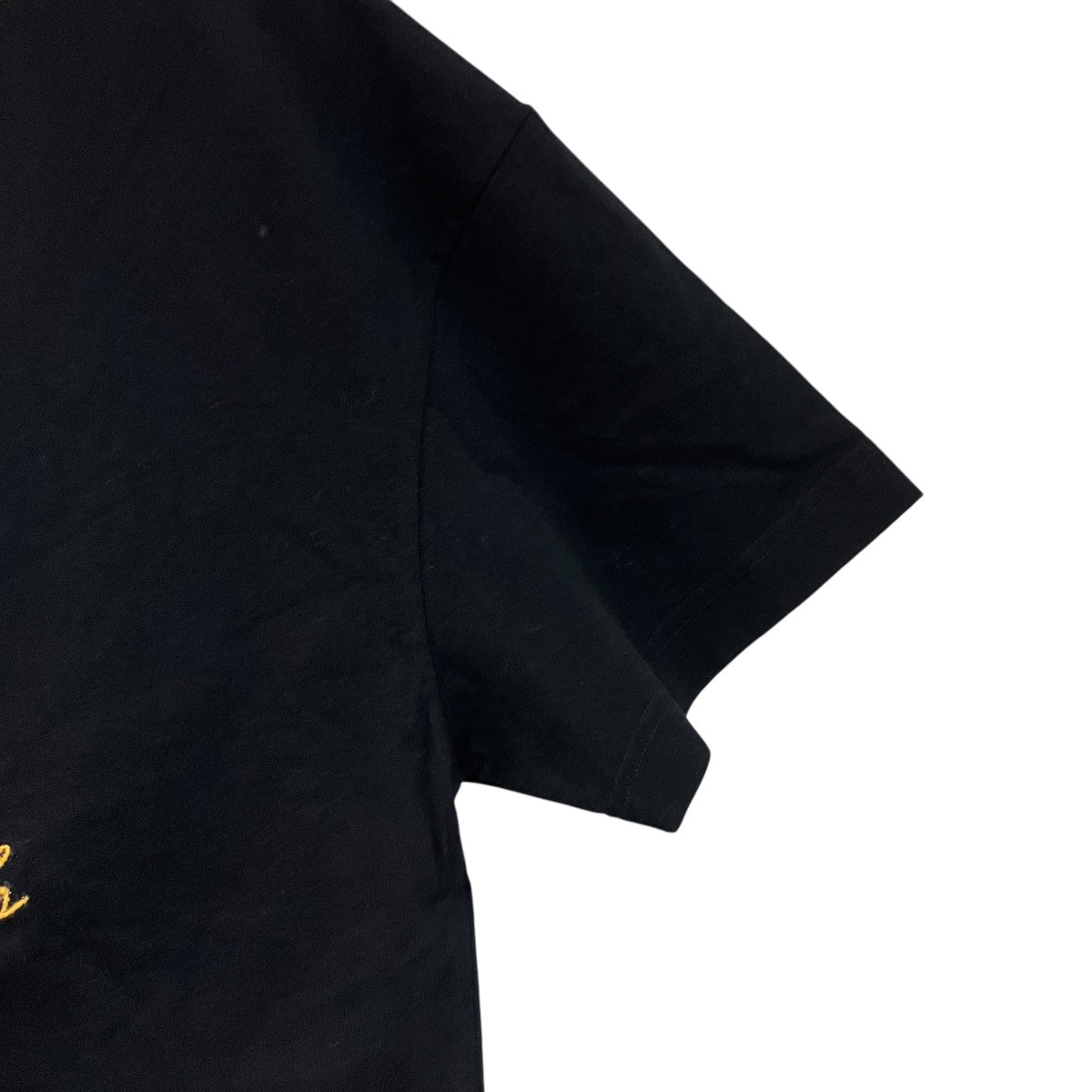 Palm Tree Printed Crewneck T-Sihrt半袖TシャツPMAA001F22JER011