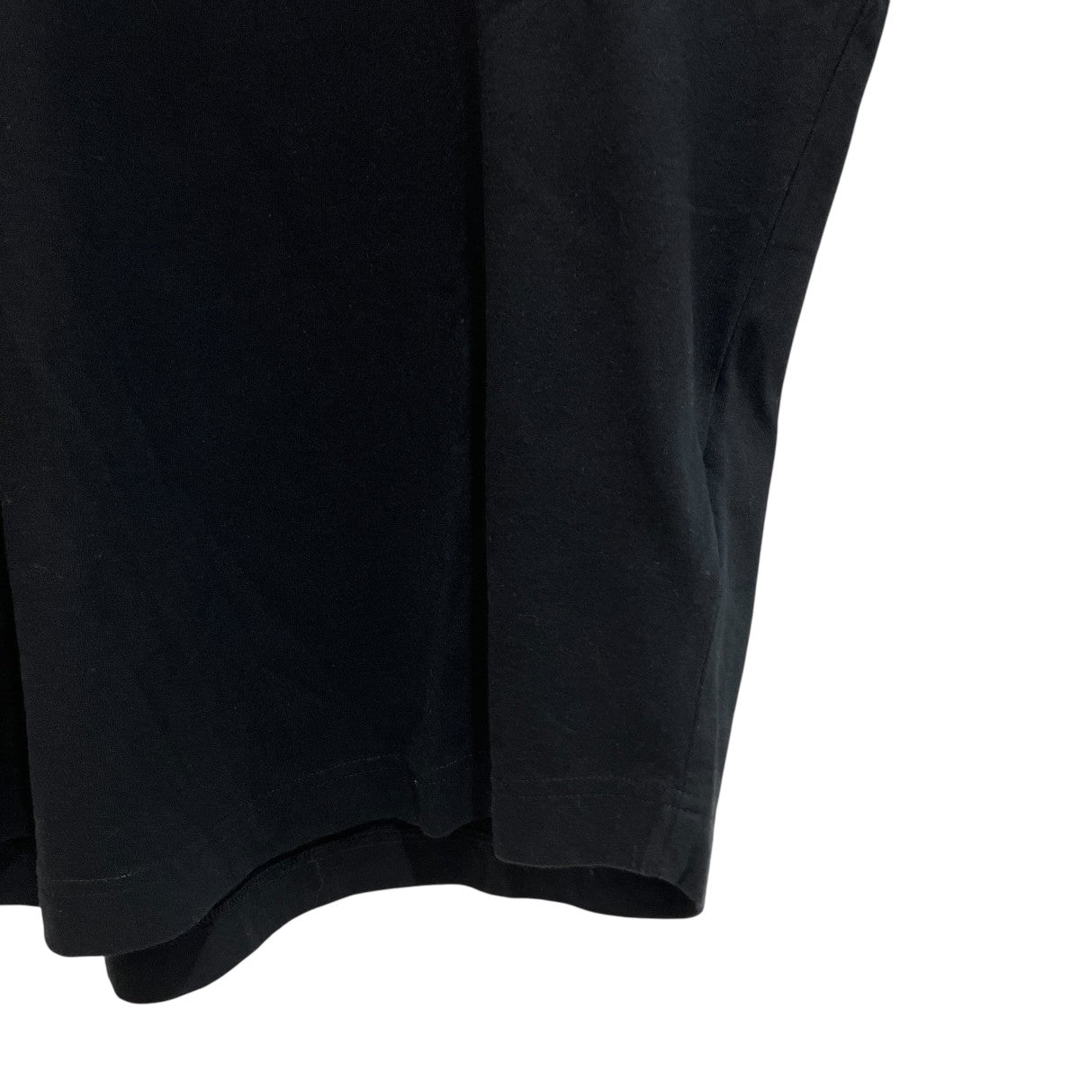 パームツリーロゴ長袖TシャツPMAF22-017