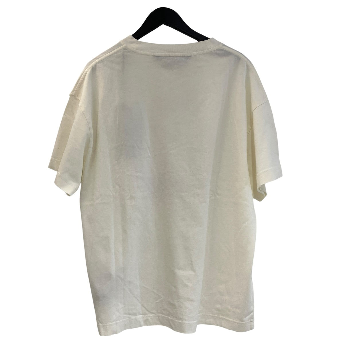 Spray Bear Regular T-Shirt半袖TシャツPMAA109F25JER00B