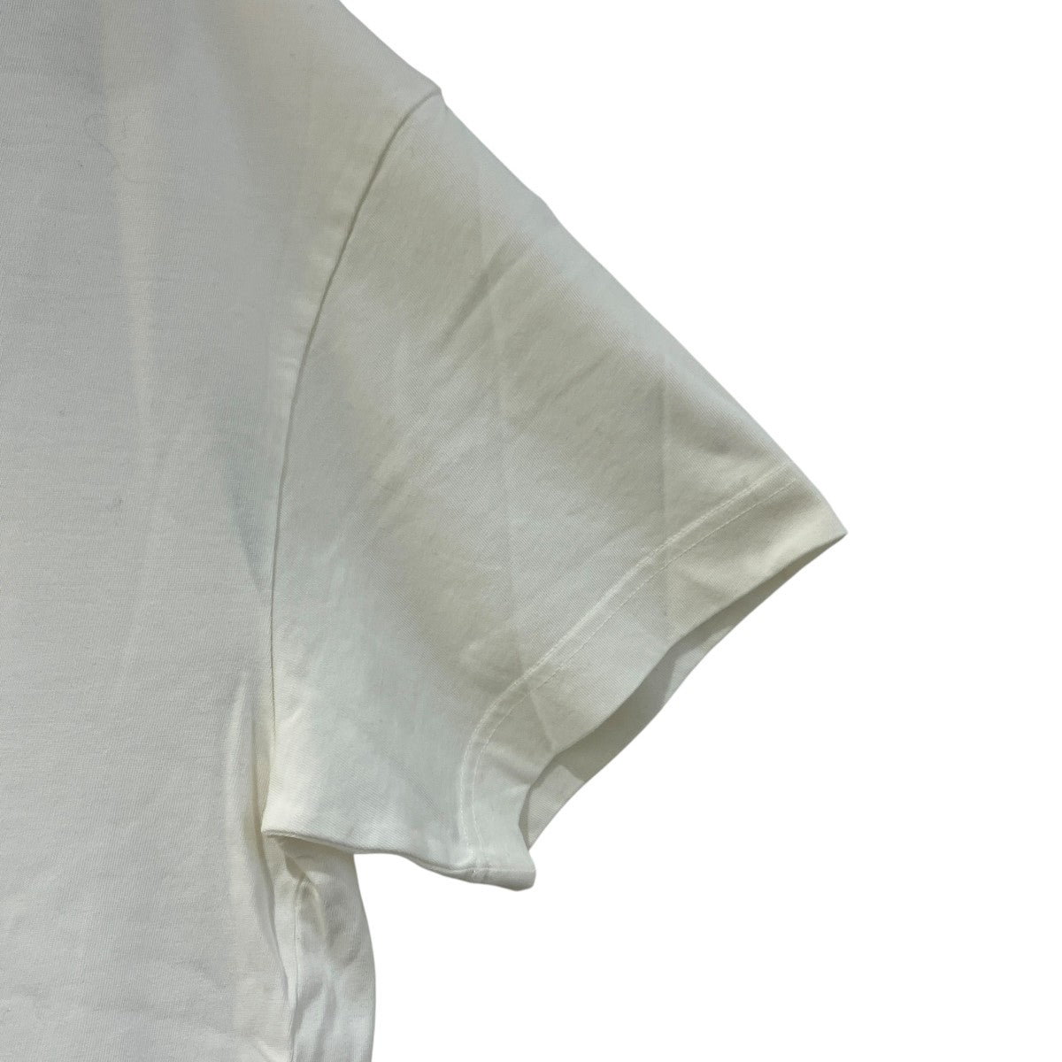 Spray Bear Regular T-Shirt半袖TシャツPMAA109F25JER00B