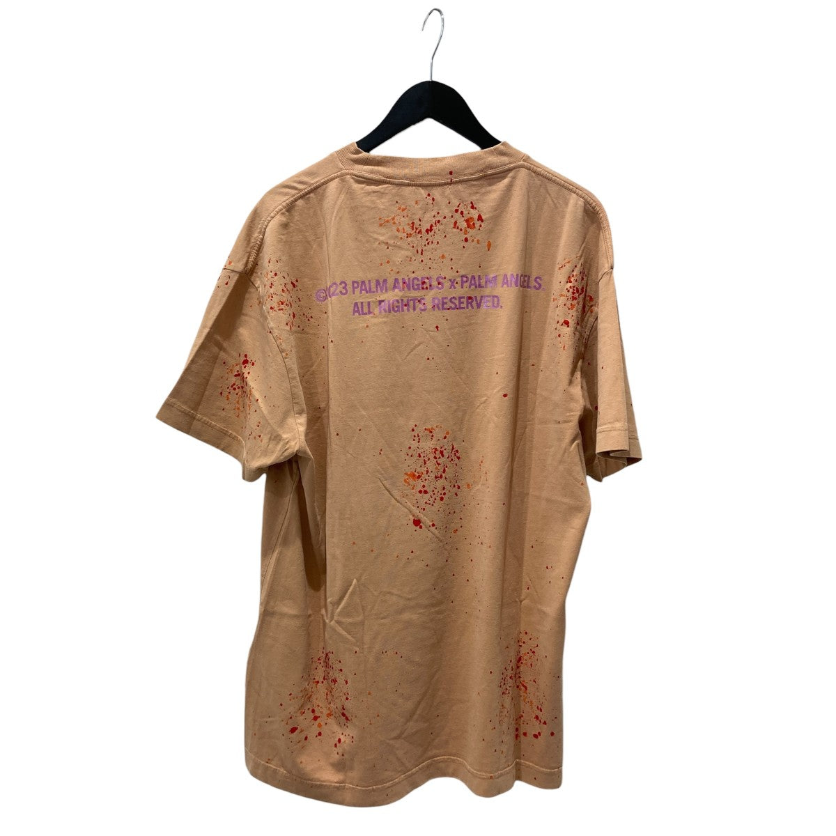 Palm Angels ペインテッドクラシック 半袖TシャツPMAA001S23JER0106235 古着・中古-2枚目のアイテム画像