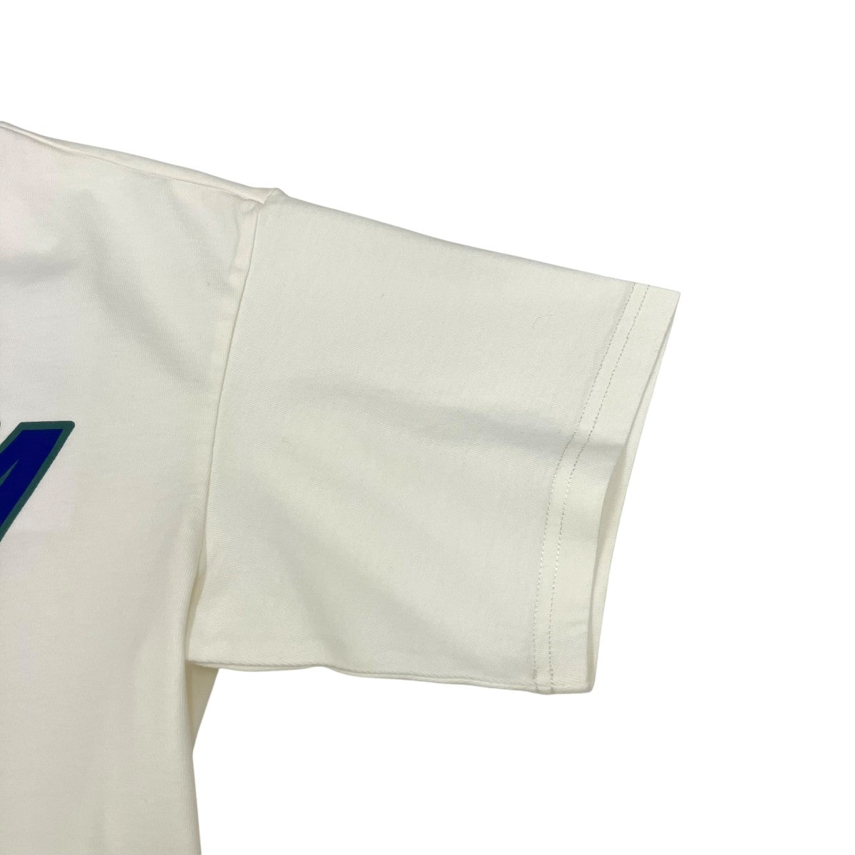 Ocelot Jersey Short Sleeve T-Shirt半袖TシャツNP0A4HEWN1A
