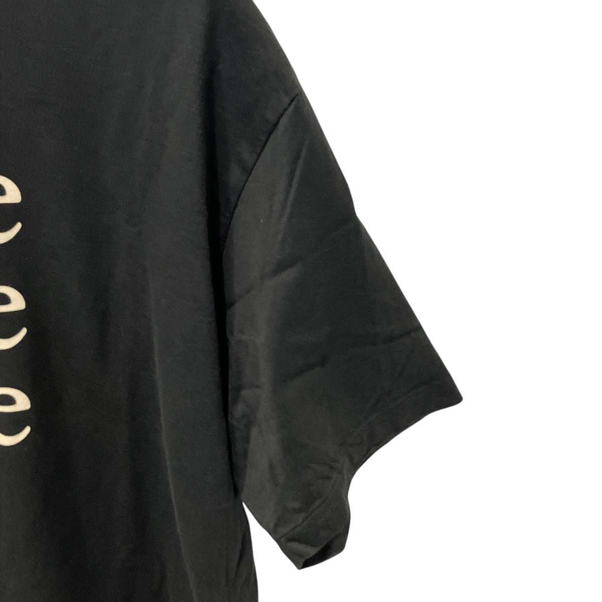 Print Tee WIDE半袖カットソーbROOTS24S34