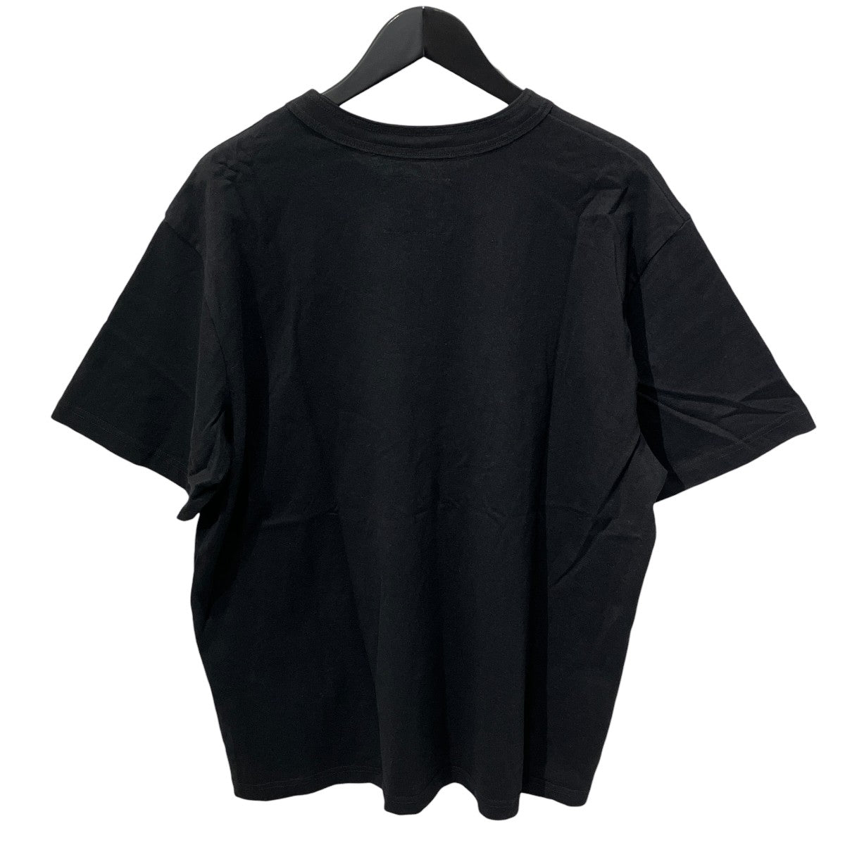 THE t-shirt半袖TシャツSCU-301
