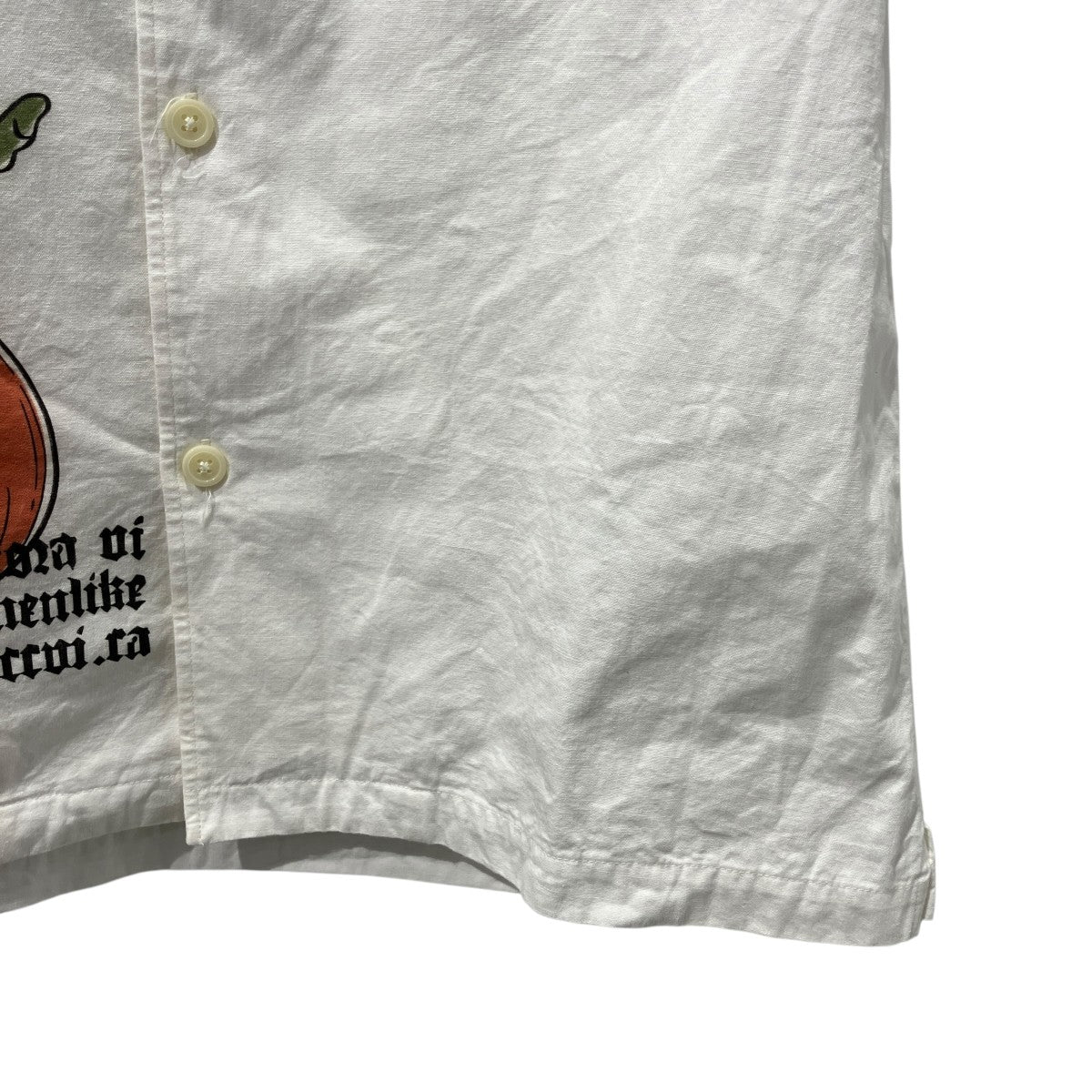 刺繍半袖シャツWOA-EDF-251101