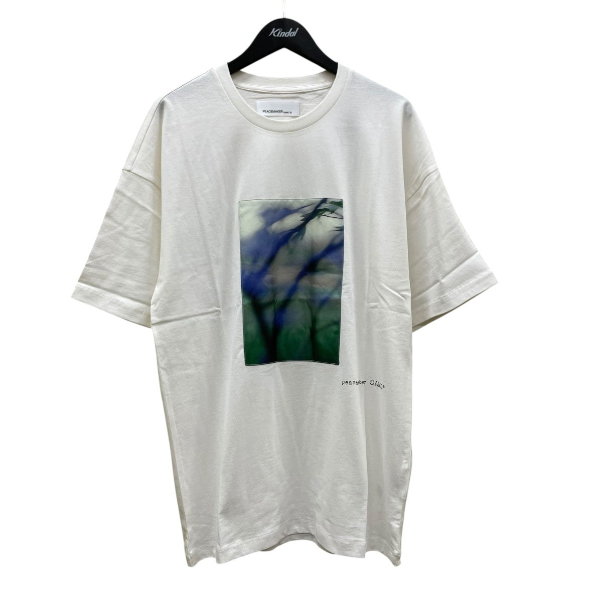 OAMC Loose Fit Tshirt Landart PrintTシャツPCM2OT02BJE00201 古着・中古-1枚目のアイテム画像