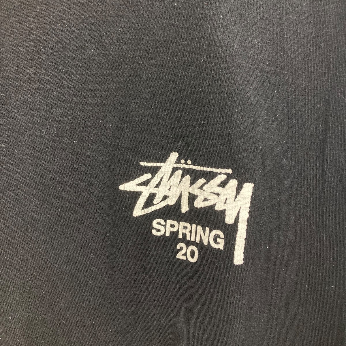 stussy(ステューシー) フラワーバックプリントTシャツ ブラック