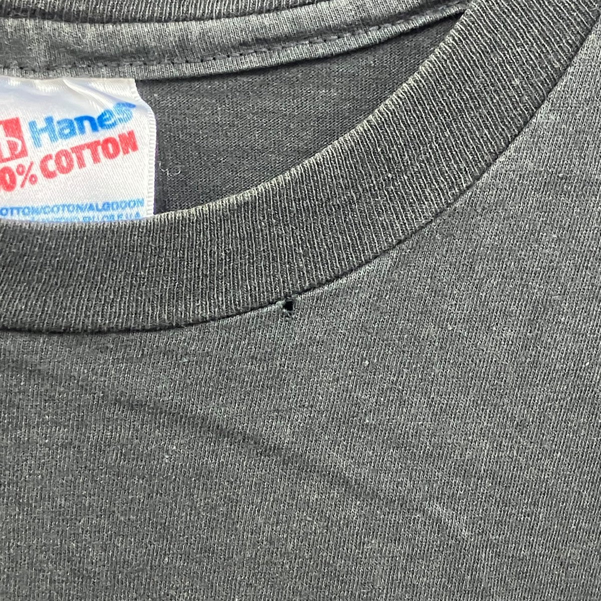 HANES、フォトプリント プリントTシャツ