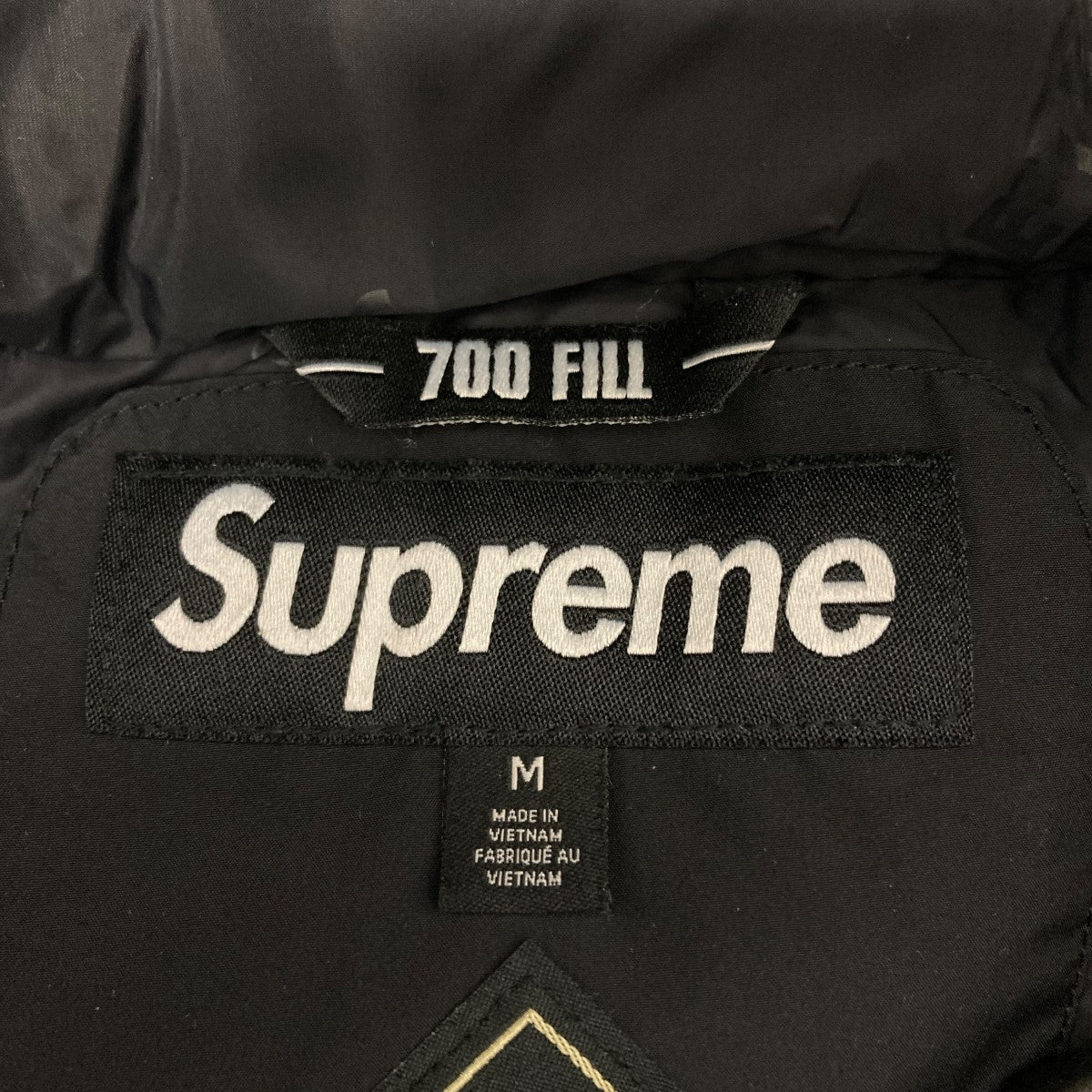Supreme(シュプリーム) GORE-TEX 700-Fill Down Parkaダウンジャケット