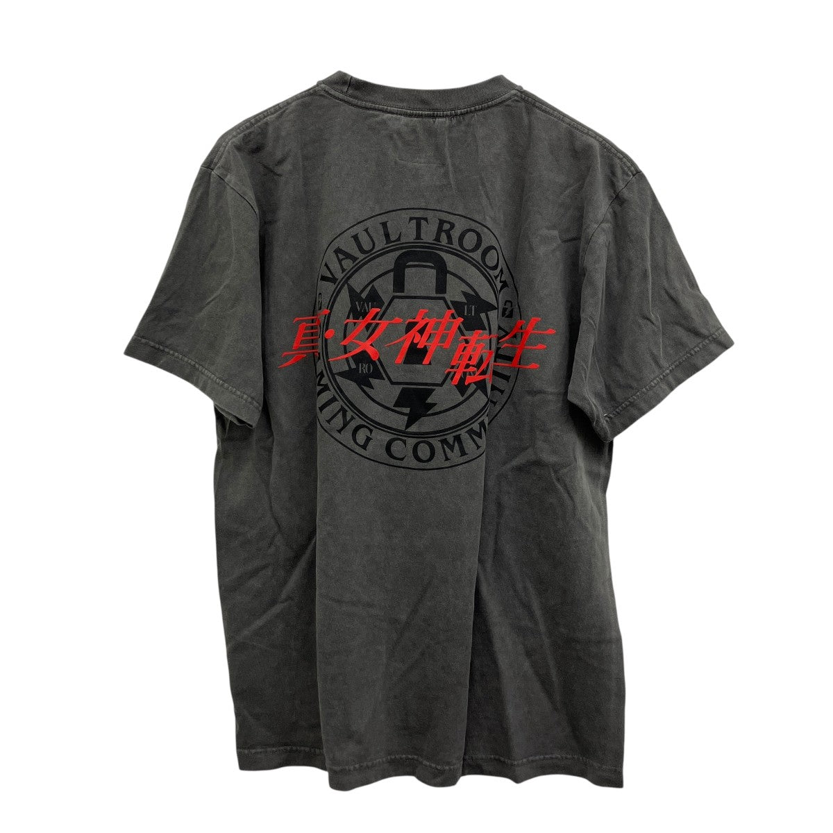 VAULT FROST TEE プリントTシャツ