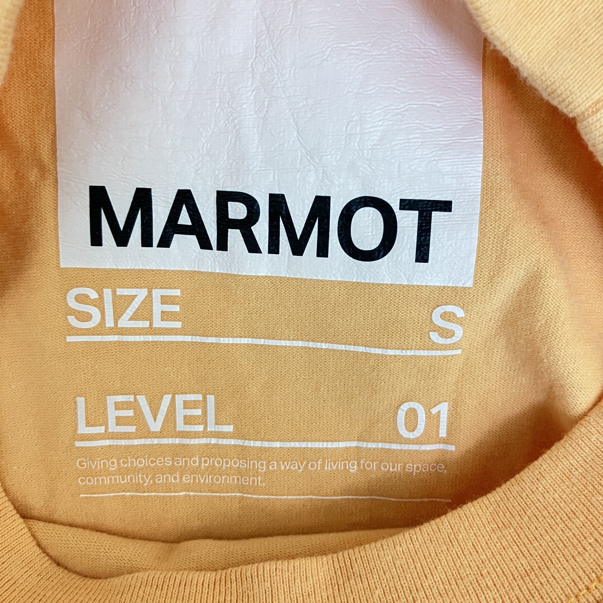 Marmot CAPITAL FLOWER S S TEEプリントTシャツ24SS-L1-01-FLOWER 古着・中古-5枚目のアイテム画像